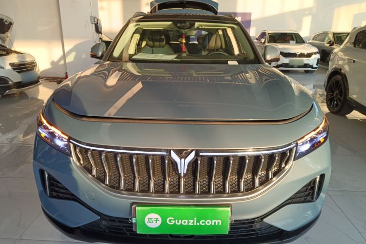 Used VOYAH FREE 2021 Four-Wheel Drive Standard All-Electric Exclusive Luxury Package Front