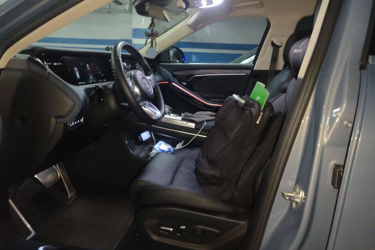 Used VOYAH FREE 2021 Two-Wheel Drive Standard Pure Electric City Edition Left Front Seat