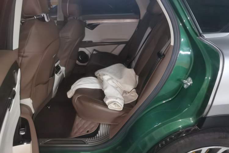 Used VOYAH FREE 2021 Four-Wheel Drive Standard Range-Extended Exclusive Luxury Package Left Rear Seat
