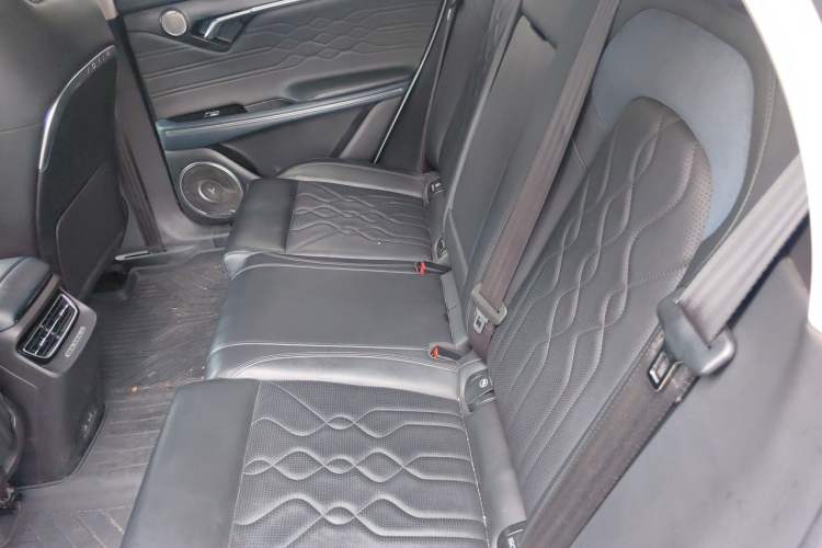 Used VOYAH FREE 2021 Four-Wheel Drive Standard Range-Extended Version Left Rear Seat