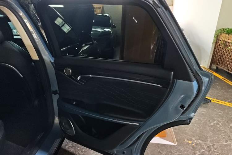 Used VOYAH FREE 2021 Four-Wheel Drive Standard Range-Extended Exclusive Luxury Package Right Rear Door Interior