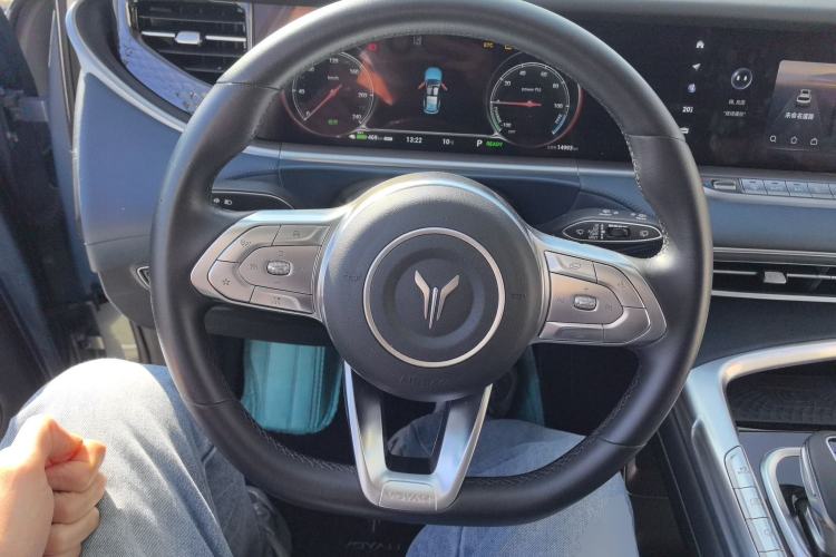 Used VOYAH FREE 2021 Four-Wheel Drive All-Electric First Edition Commemorative Edition Exclusive Luxury Package Steering Wheel