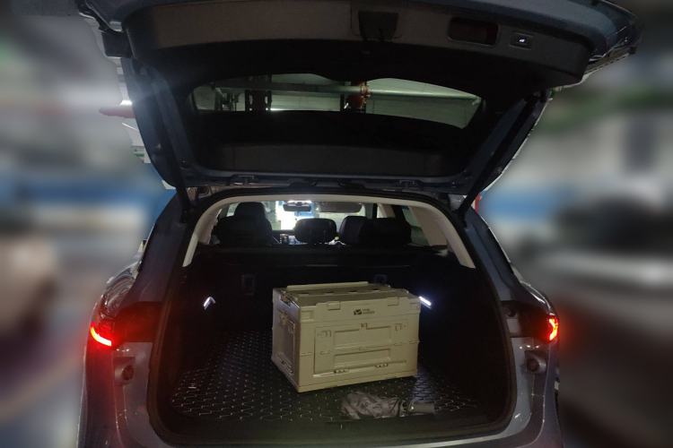 Used VOYAH FREE 2021 Two-Wheel Drive Standard Pure Electric City Edition Trunk