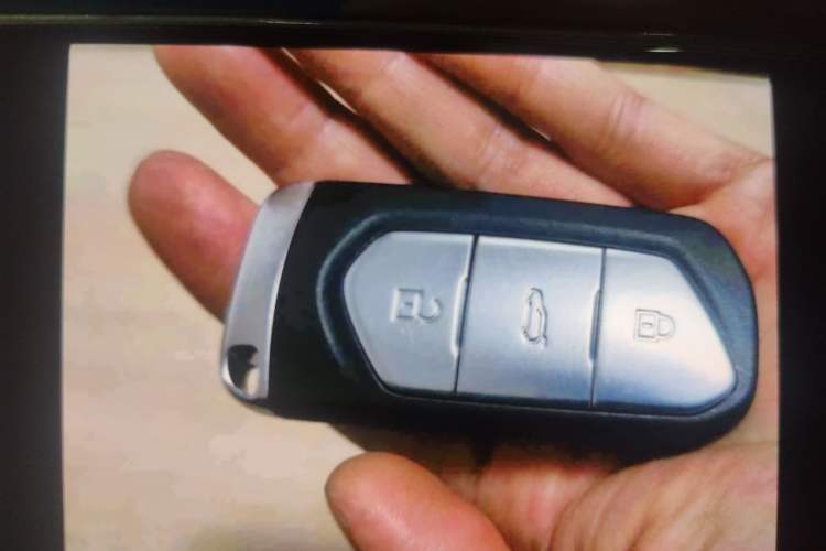 Used VOYAH FREE 2021 Two-Wheel Drive Standard Pure Electric City Edition Vehicle Key