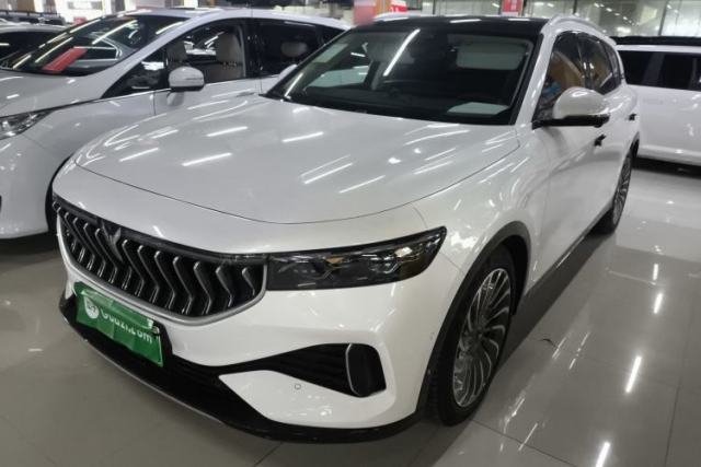 Used VOYAH FREE 2021 Two-Wheel Drive Standard Pure Electric City Edition