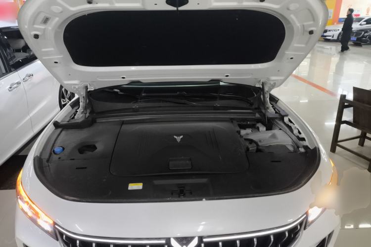 Used VOYAH FREE 2021 Two-Wheel Drive Standard Pure Electric City Edition Engine Bay