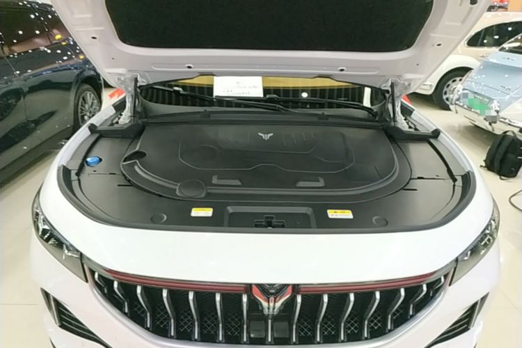 Used VOYAH FREE 2021 Four-Wheel Drive Standard Range-Extended Exclusive Luxury Package Engine Bay