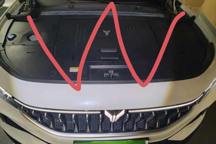 Used VOYAH FREE 2021 Two-Wheel Drive Standard Pure Electric Version Engine Bay