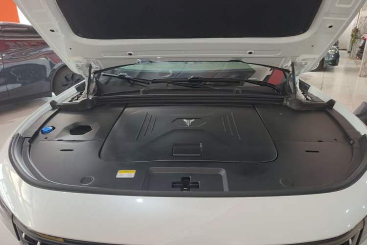 Used VOYAH FREE 2021 Four-Wheel Drive Standard All-Electric Exclusive Luxury Package Engine Bay