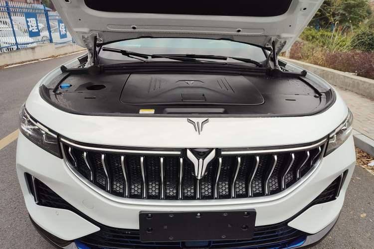 Used VOYAH FREE 2021 Two-Wheel Drive Standard Pure Electric City Edition Engine Bay