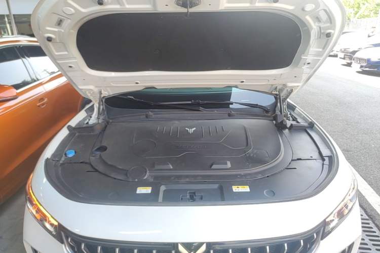Used VOYAH FREE 2021 Four-Wheel Drive Standard Range-Extended Exclusive Luxury Package Engine Bay