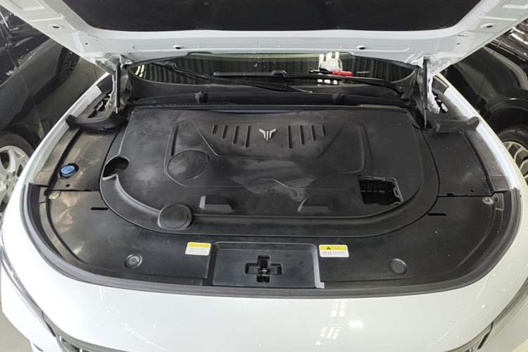 Used VOYAH FREE 2021 Four-Wheel Drive Standard Range-Extended Exclusive Luxury Package Engine Bay