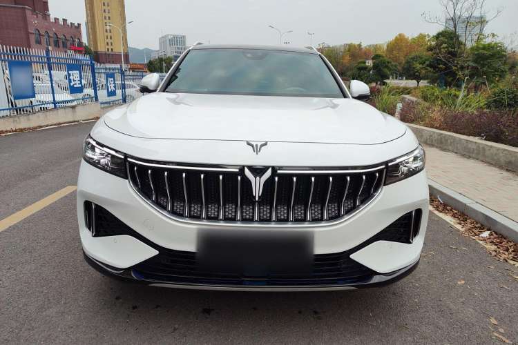 Used VOYAH FREE 2021 Two-Wheel Drive Standard Pure Electric City Edition Exterior 1