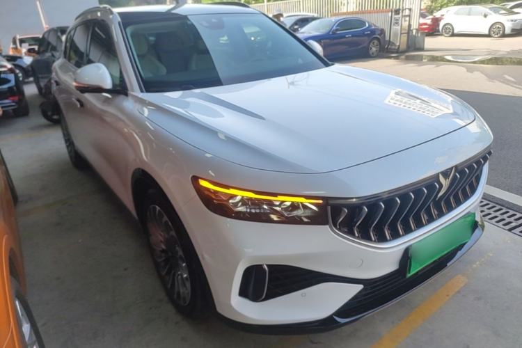 Used VOYAH FREE 2021 Four-Wheel Drive Standard Range-Extended Exclusive Luxury Package Exterior 1