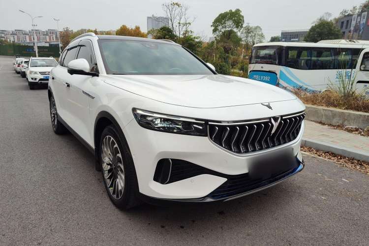 Used VOYAH FREE 2021 Two-Wheel Drive Standard Pure Electric City Edition Exterior 2