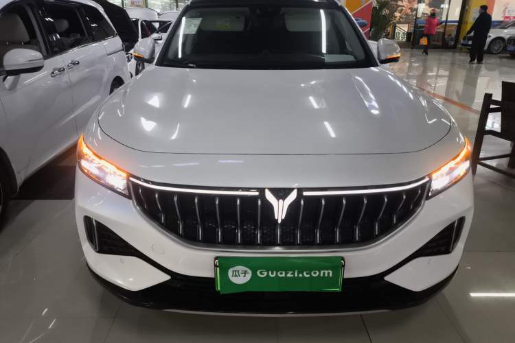 Used VOYAH FREE 2021 Two-Wheel Drive Standard Pure Electric City Edition Front
