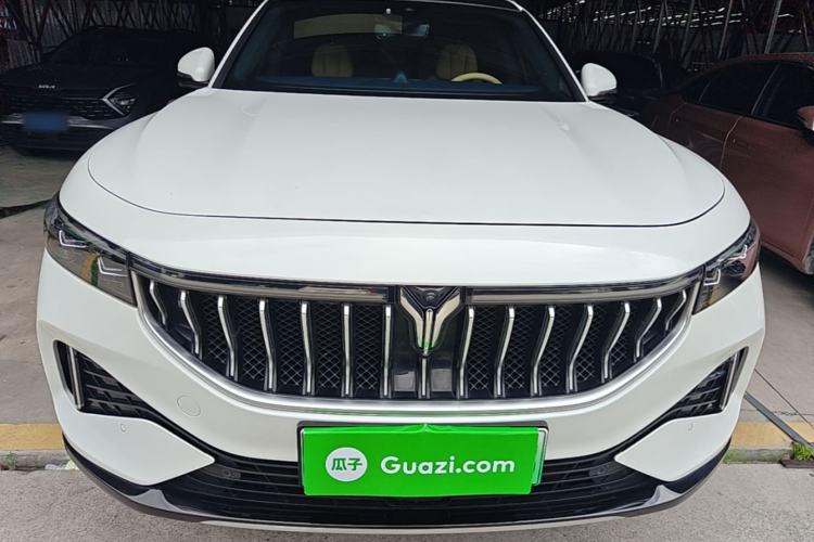 Used VOYAH FREE 2021 Four-Wheel Drive Standard Range-Extended Exclusive Luxury Package Front