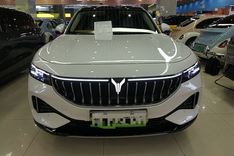 Used VOYAH FREE 2021 Four-Wheel Drive Standard Range-Extended Exclusive Luxury Package Front