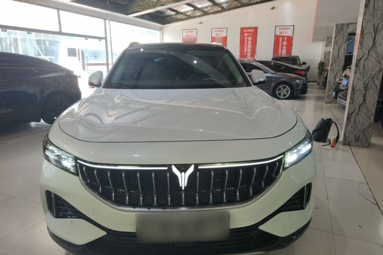 Used VOYAH FREE 2021 Four-Wheel Drive Standard All-Electric Exclusive Luxury Package Front