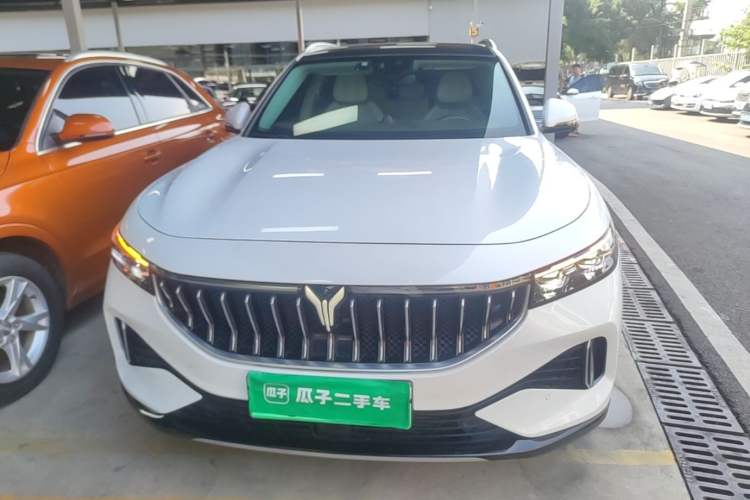 Used VOYAH FREE 2021 Four-Wheel Drive Standard Range-Extended Exclusive Luxury Package Front
