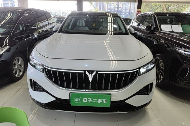 Used VOYAH FREE 2021 Four-Wheel Drive Standard Range-Extended Exclusive Luxury Package Front