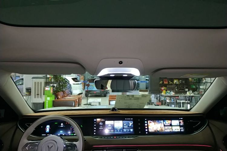 Used VOYAH FREE 2021 Four-Wheel Drive Standard Range-Extended Exclusive Luxury Package Headliner