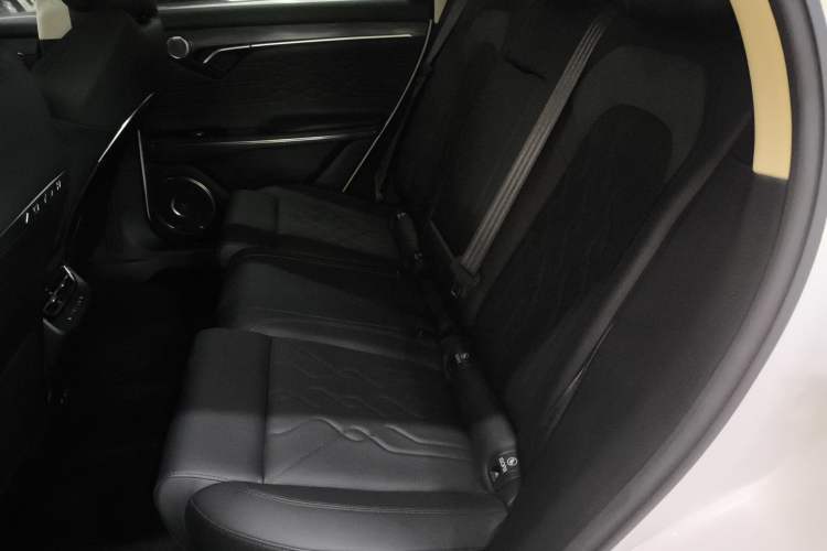 Used VOYAH FREE 2021 Two-Wheel Drive Standard Pure Electric City Edition Left Rear Seat