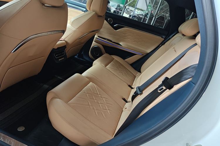 Used VOYAH FREE 2021 Four-Wheel Drive Standard Range-Extended Exclusive Luxury Package Left Rear Seat