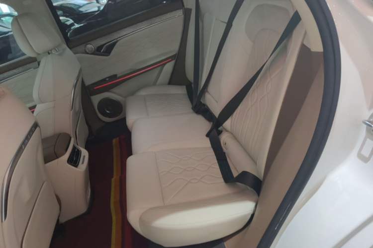 Used VOYAH FREE 2021 Four-Wheel Drive Standard All-Electric Exclusive Luxury Package Left Rear Seat