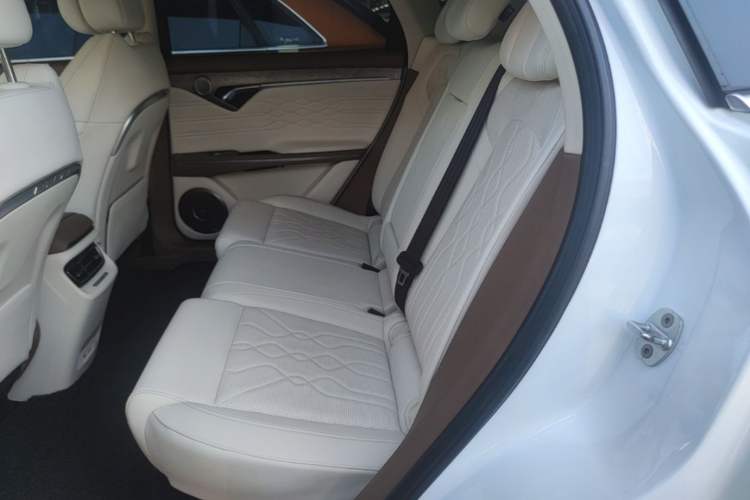 Used VOYAH FREE 2021 Four-Wheel Drive Standard Range-Extended Exclusive Luxury Package Left Rear Seat