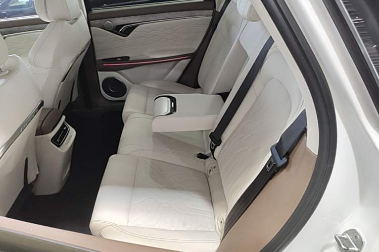 Used VOYAH FREE 2021 Four-Wheel Drive Standard Range-Extended Exclusive Luxury Package Left Rear Seat