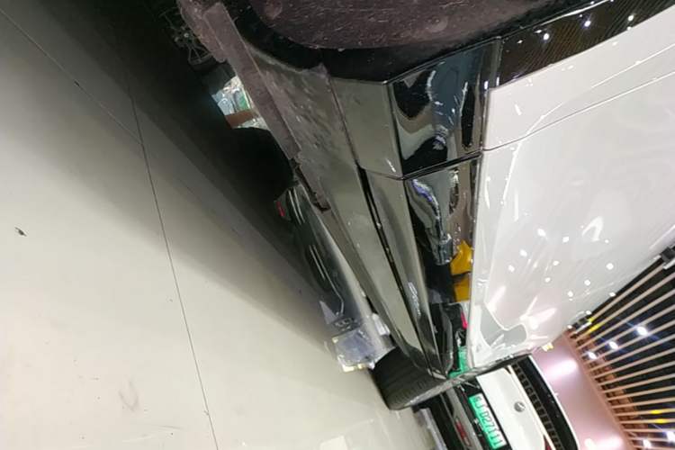 Used VOYAH FREE 2021 Four-Wheel Drive Standard Range-Extended Exclusive Luxury Package Left Side Sill