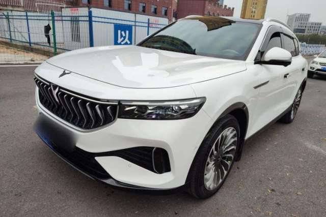 Used VOYAH FREE 2021 Two-Wheel Drive Standard Pure Electric City Edition