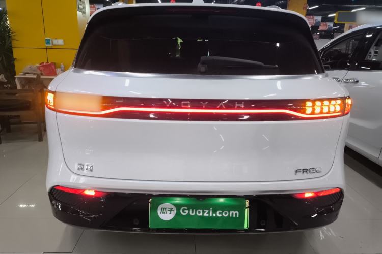 Used VOYAH FREE 2021 Two-Wheel Drive Standard Pure Electric City Edition Rear