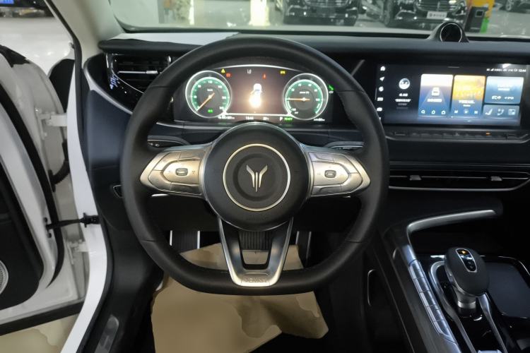 Used VOYAH FREE 2021 Two-Wheel Drive Standard Pure Electric City Edition Steering Wheel