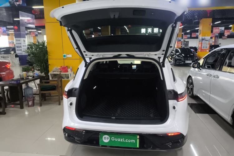 Used VOYAH FREE 2021 Two-Wheel Drive Standard Pure Electric City Edition Trunk