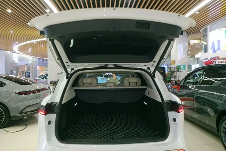 Used VOYAH FREE 2021 Four-Wheel Drive Standard Range-Extended Exclusive Luxury Package Trunk