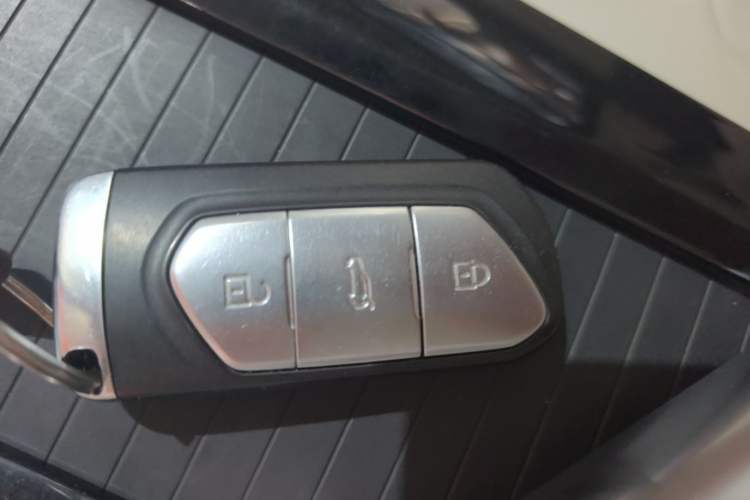 Used VOYAH FREE 2021 Four-Wheel Drive Standard All-Electric Exclusive Luxury Package Vehicle Key