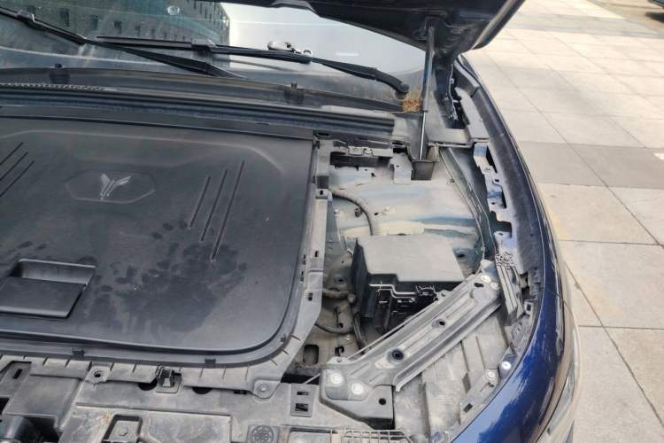Used VOYAH FREE 2022 Four-Wheel Drive Ultra-Long Range Pure Electric Version Engine Bay Left