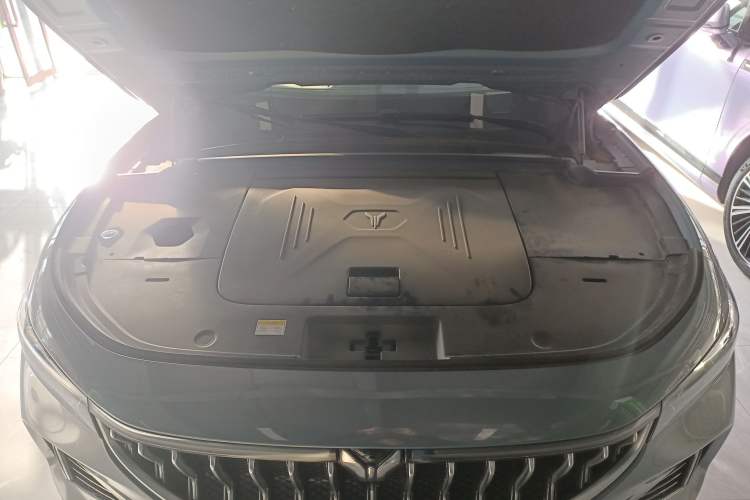 Used VOYAH FREE 2022 Four-Wheel Drive Ultra-Long Range Pure Electric Version Engine Bay