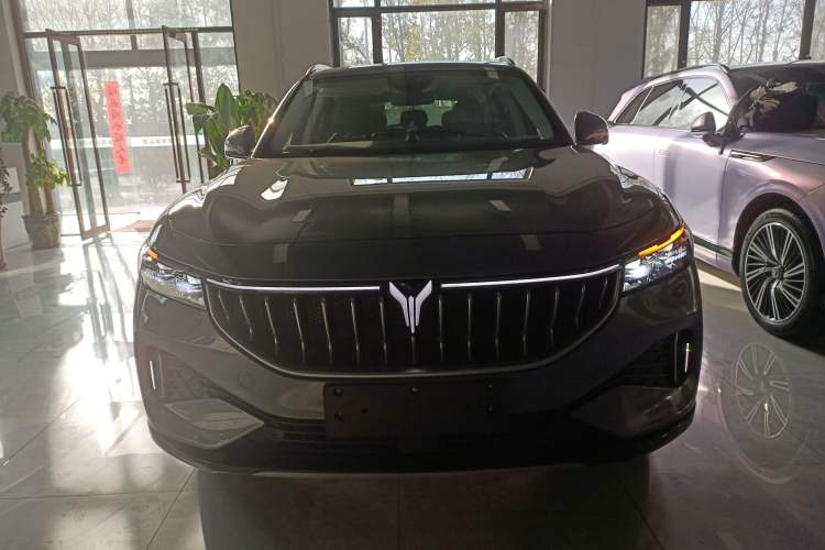 Used VOYAH FREE 2022 Four-Wheel Drive Ultra-Long Range Pure Electric Version Front