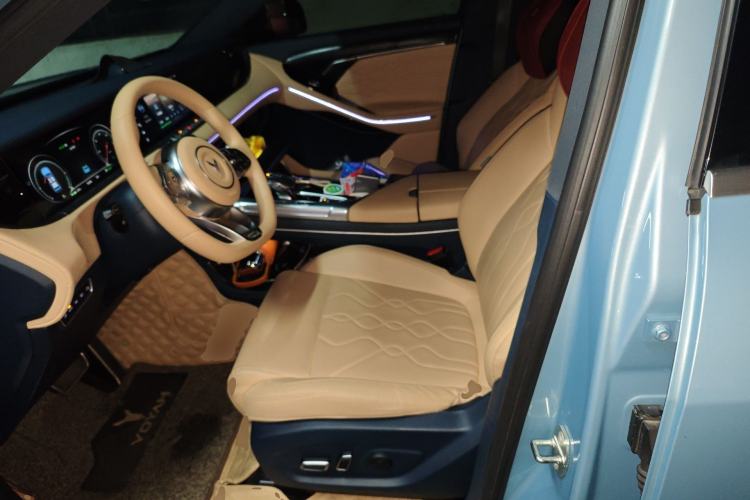 Used VOYAH FREE 2022 Four-Wheel Drive Ultra-Long Range Pure Electric Version Left Front Seat