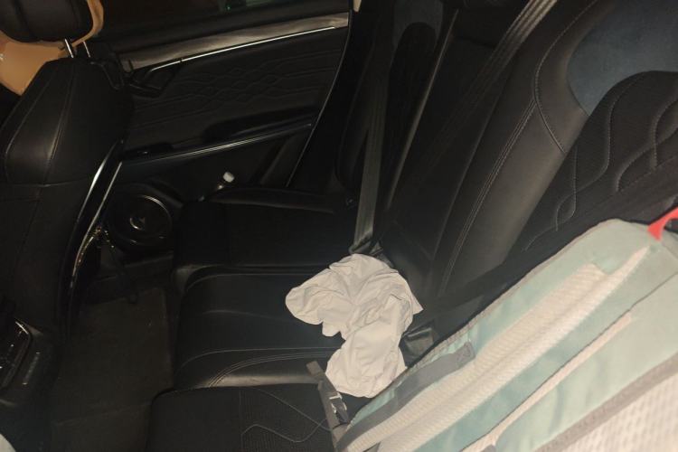 Used VOYAH FREE 2022 DNA Range-Extended Version Left Rear Seat