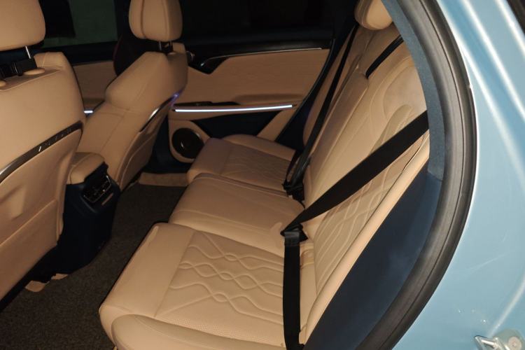 Used VOYAH FREE 2022 Four-Wheel Drive Ultra-Long Range Pure Electric Version Left Rear Seat