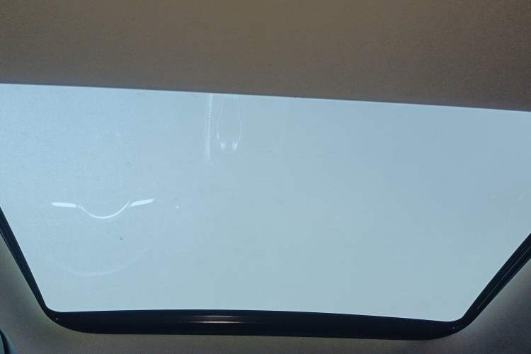Used VOYAH FREE 2022 Four-Wheel Drive Ultra-Long Range Pure Electric Version Headliner