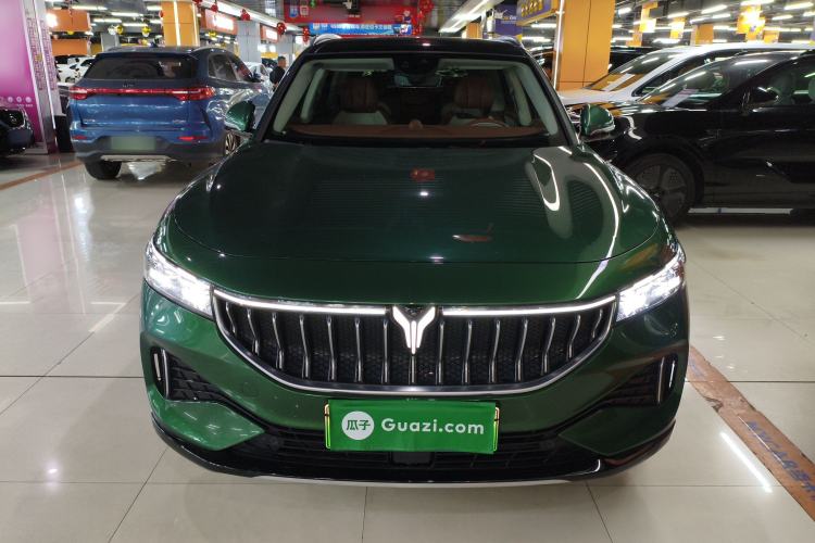 Used VOYAH FREE 2022 Four-Wheel Drive Ultra-Long Range Pure Electric Version Front