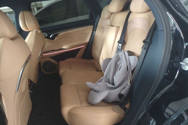 Used VOYAH FREE 2023 Four-Wheel Drive Extended-Range Model with Ultra-Long Range Left Rear Seat