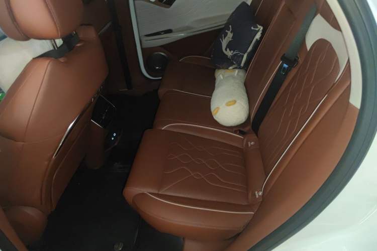 Used VOYAH FREE 2023 Four-Wheel Drive Extended-Range Model with Ultra-Long Range Left Rear Seat
