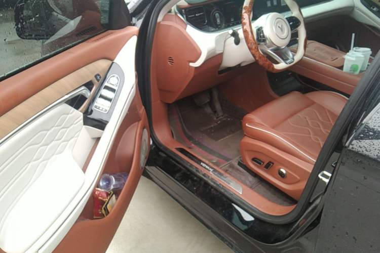Used VOYAH FREE 2024 Ultra-Long Range Intelligent Driving Version Driver Seat