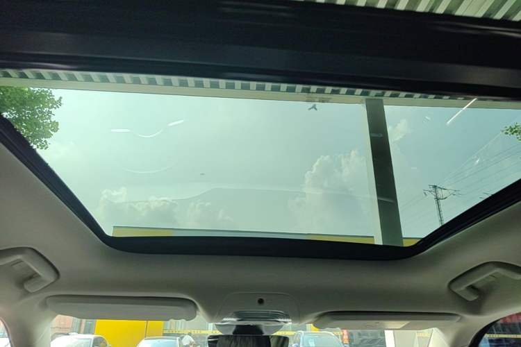 Used VOYAH FREE 2024 Ultra-Long Range Intelligent Driving Version Headliner